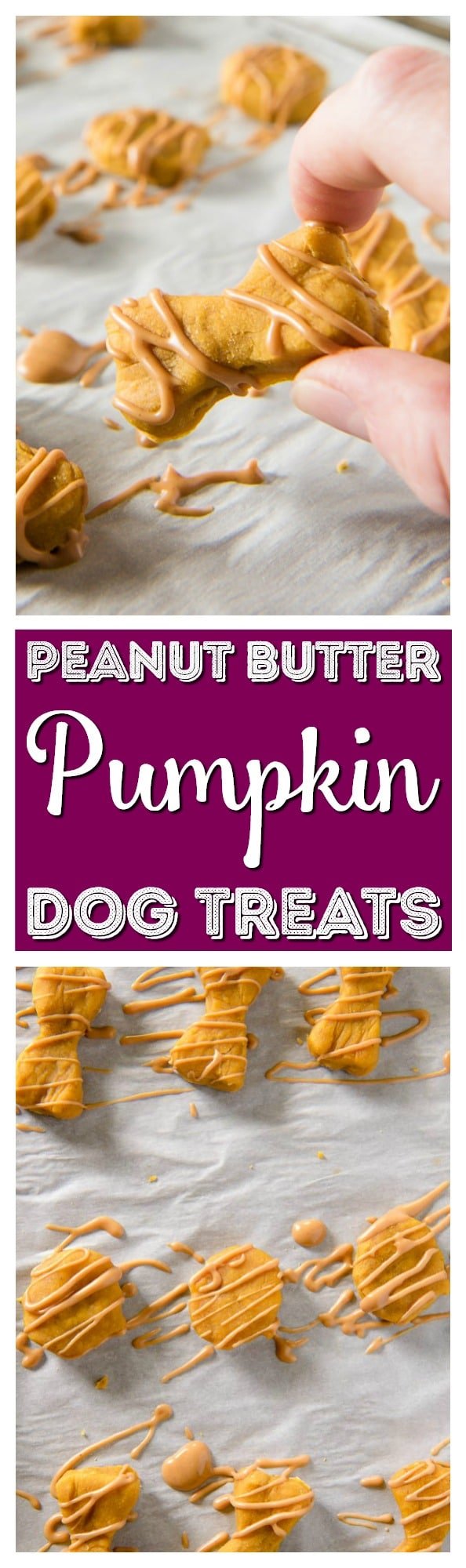 Why should humans get all the tasty fall desserts? Treat your pup to these homemade dog treats and let 'em revel in the season with you! via @sugarandsoulco