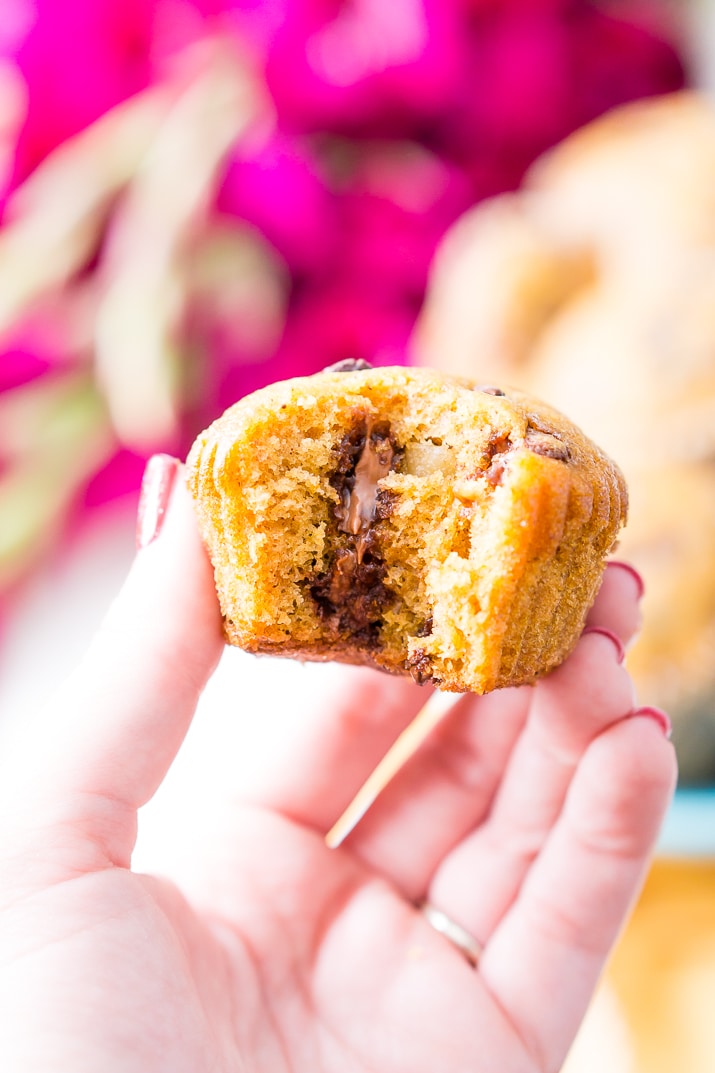 These Pumpkin Muffins are loaded with chocolate chips and spices for a fall breakfast, treat, or snack the whole family will love!