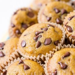 These Pumpkin Muffins are loaded with chocolate chips and spices for a fall breakfast, treat, or snack the whole family will love!