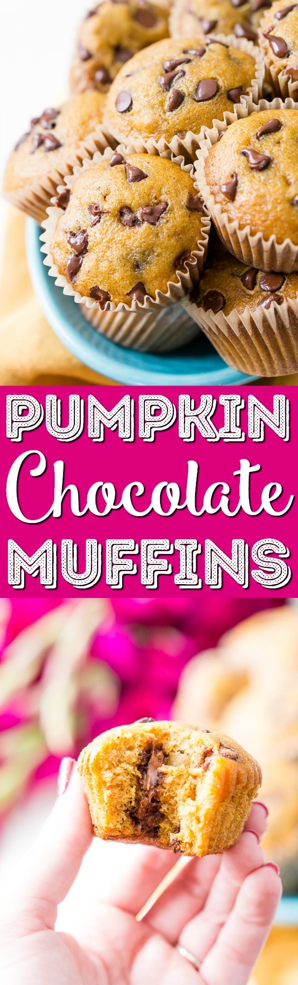 These Pumpkin Muffins are loaded with chocolate chips and spices for a fall breakfast, treat, or snack the whole family will love! via @sugarandsoulco