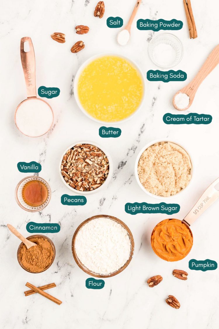 Overhead photo of ingredients to make Pumpkin Snickerdoodles.