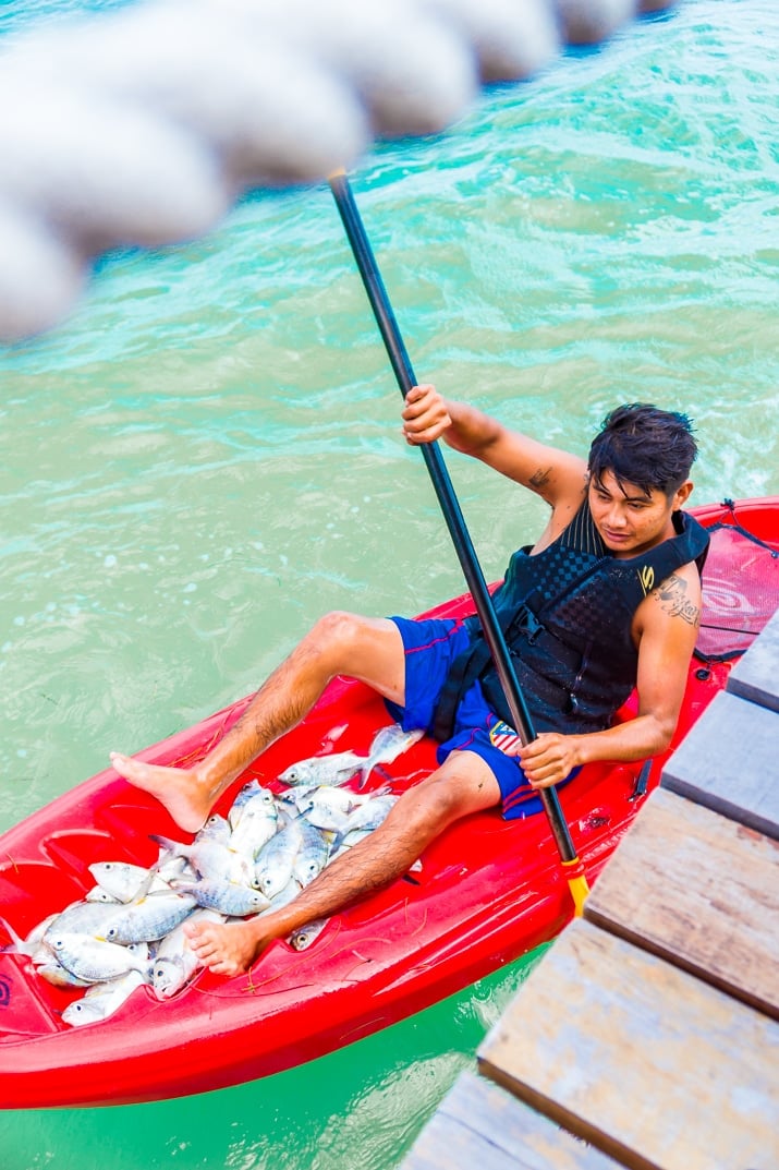 Kayaker catching fish in costa maya mexico