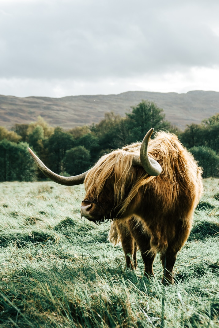 If you're visiting Scotland, make sure you make the trip from Edinburgh to the Isle of Skye! Here's a 3-day itinerary to help guide you along your journey!