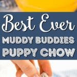 Pinterest Hidden Image