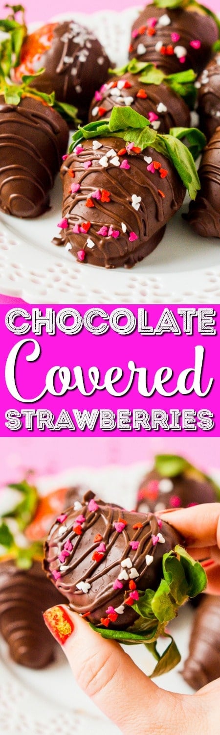 chocolate covered strawberries recipe