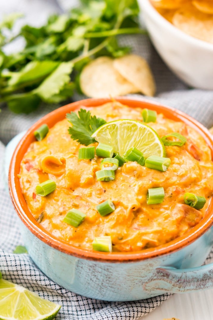 This Slow Cooker Chicken Queso Dip is an easy and addicting party dip made with shredded chicken, cheese, green chiles, tomatoes, green onions, and lots of spice!