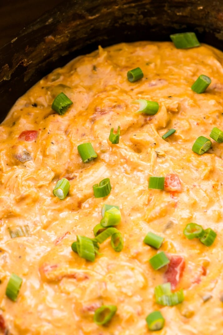 Slow Cooker Chicken Queso Dip Recipe