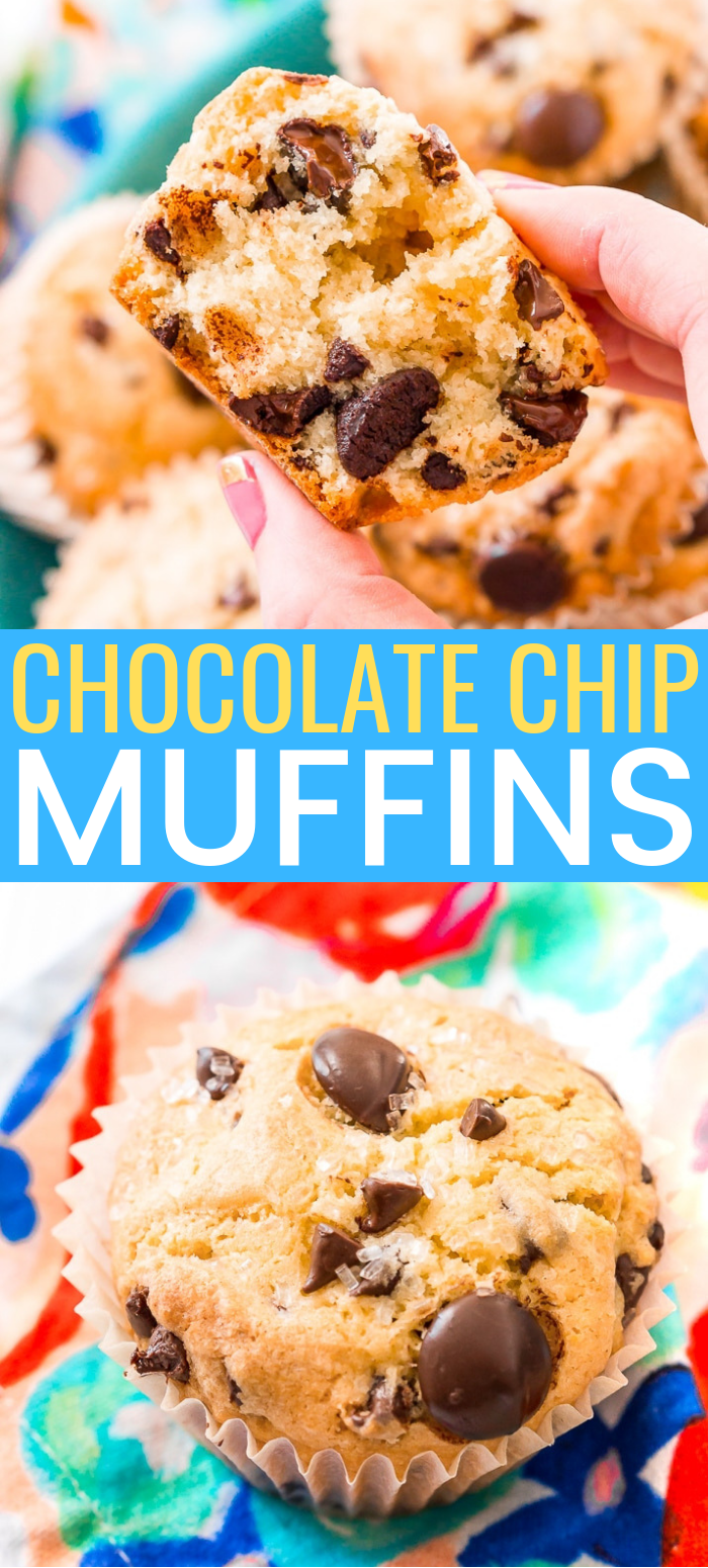 These Chocolate Chip Muffins are just the thing to start or end your day! A little dense and a little sweet, these cookie-like muffins are like eating dessert for breakfast! via @sugarandsoulco