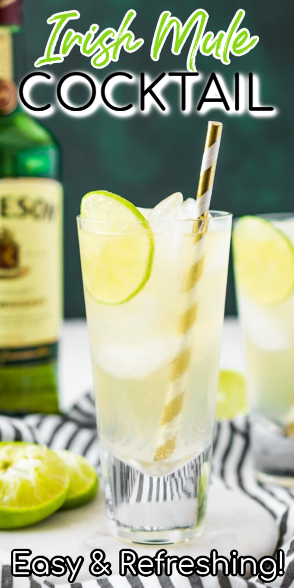 This Irish Mule Cocktail is a bright mix of smooth Irish whiskey, zesty ginger beer, and tart fresh squeezed lime juice and it's sure to make you want to dance this St. Patrick's Day! via @sugarandsoulco