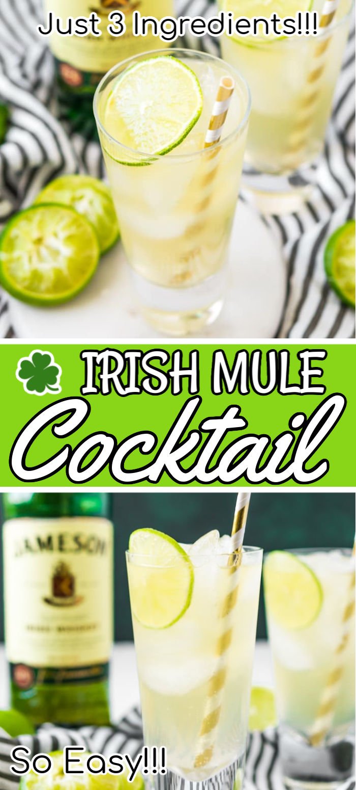 This Irish Mule Cocktail is a bright mix of smooth Irish whiskey, zesty ginger beer, and tart fresh squeezed lime juice and it's sure to make you want to dance this St. Patrick's Day! via @sugarandsoulco