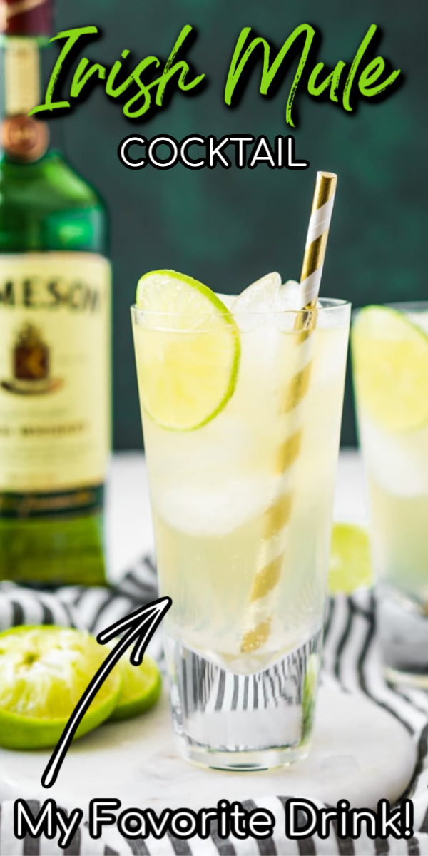 This Irish Mule Cocktail is a bright mix of smooth Irish whiskey, zesty ginger beer, and tart lime juice and it's sure to make you want to dance this St. Patrick's Day! via @sugarandsoulco