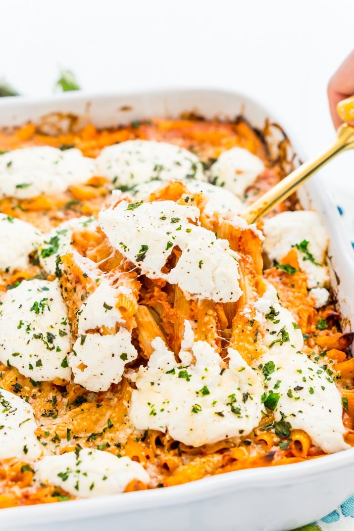 Pasta Bake made with penne, parmesan, ricotta, crushed tomatoes, garlic, half-and-half, and more.