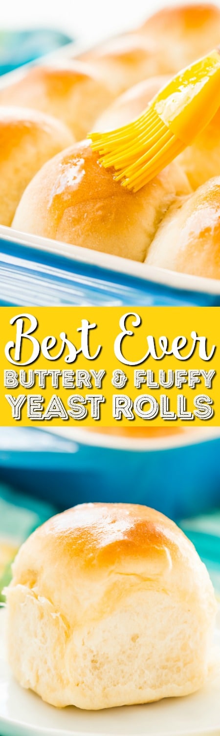 How To Make Yeast Rolls From Scratch Sugar Soul how-to-make-yeast-rolls-from-scratch-sugar-soul
