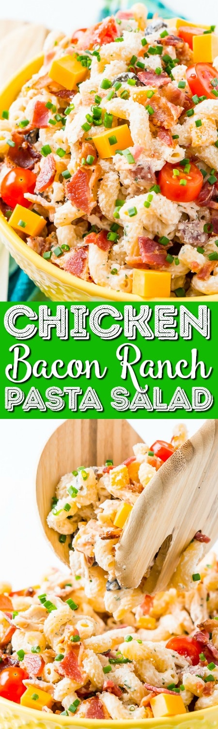 This Chicken Bacon Ranch Pasta Salad is going to be an instant hit at BBQs and picnics this summer! It's loaded with chicken, bacon, cheese, olives, and coated with a delicious ranch dressing.