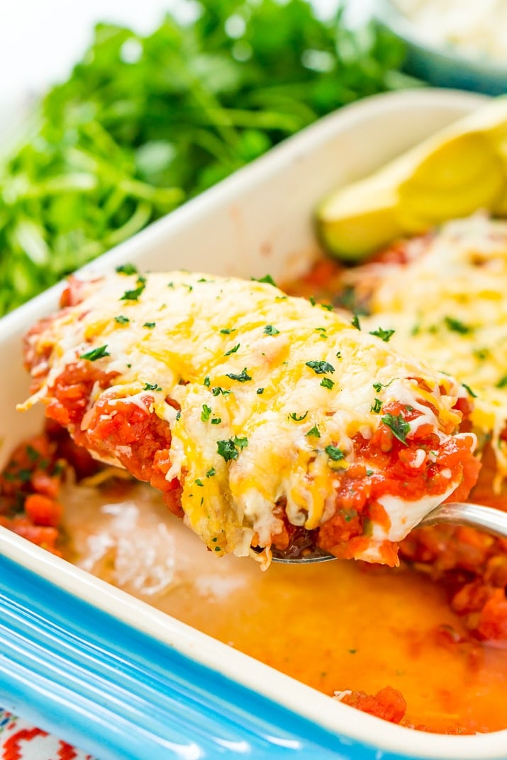 This Salsa Chicken Bake is a mouthwatering and easy dinner recipe that's made with just 4 ingredients and ready in less than 30 minutes! It's loaded with flavor and made with just chicken, taco seasoning, salsa, and cheese!