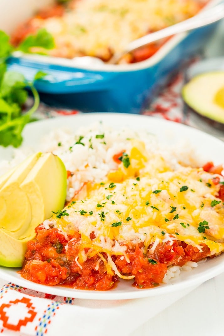 Close up photo of salsa chicken on a white plate with a side of rice and avocado.