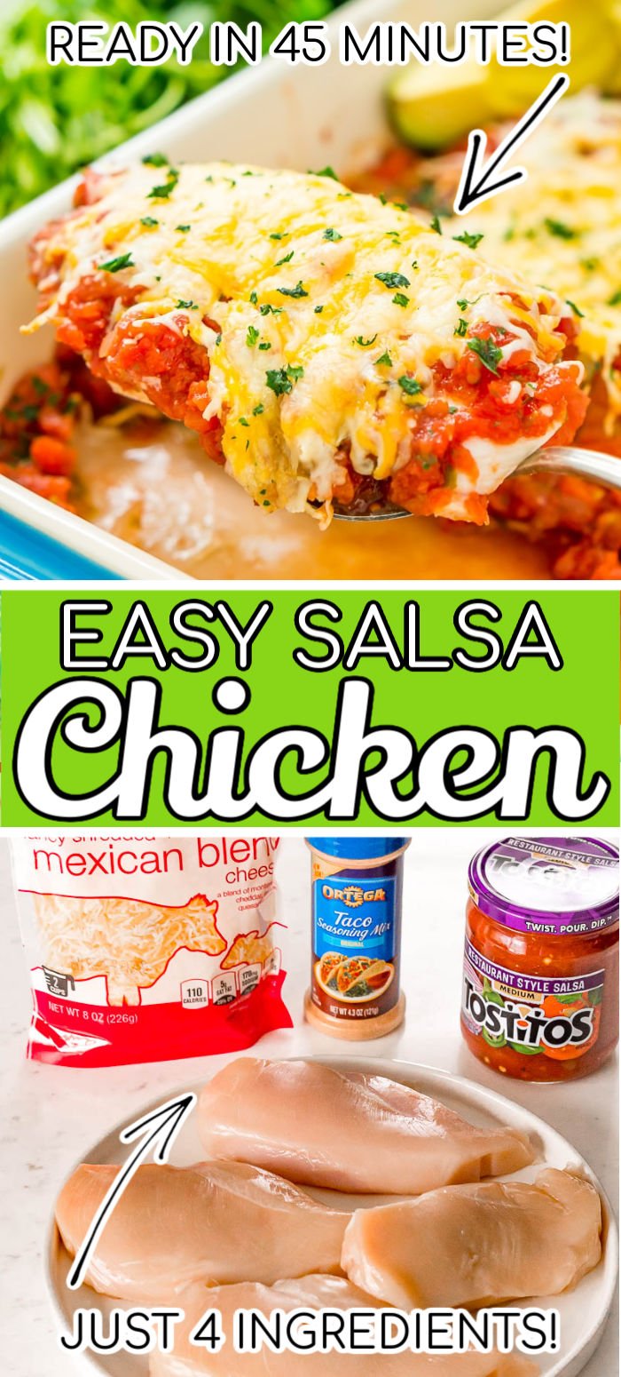 This Salsa Chicken Bake is a mouthwatering and easy dinner recipe that's made with just 4 ingredients and ready in less than 45 minutes! It's loaded with flavor and made with just chicken, taco seasoning, salsa, and cheese! via @sugarandsoulco