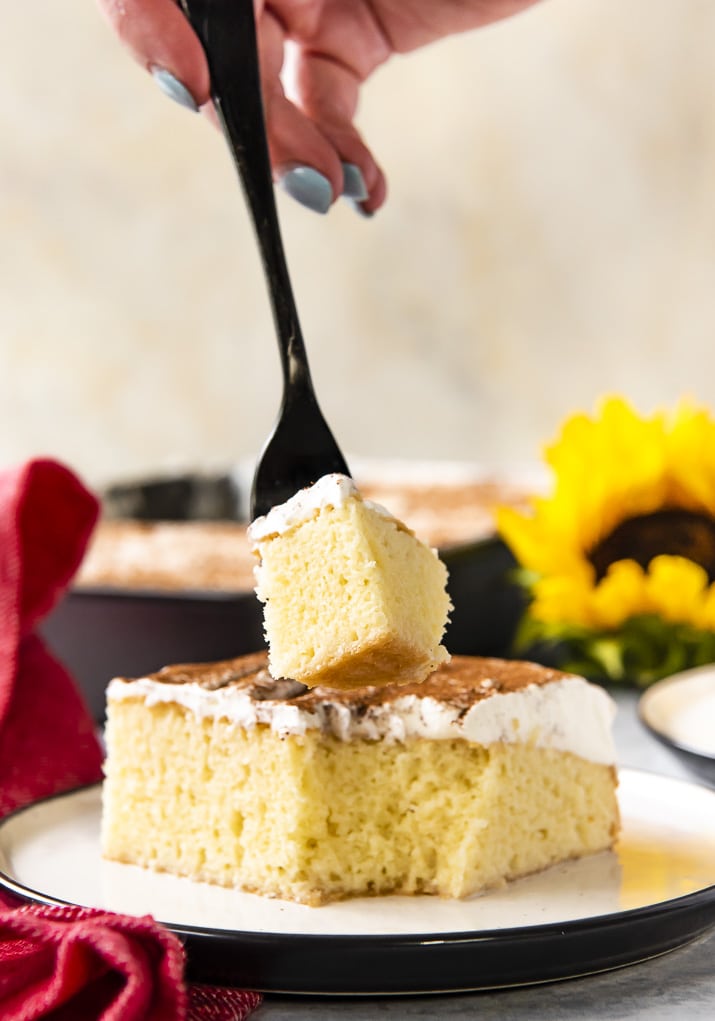 What Makes Dominican Cake Different What Makes Dominican Cake Different