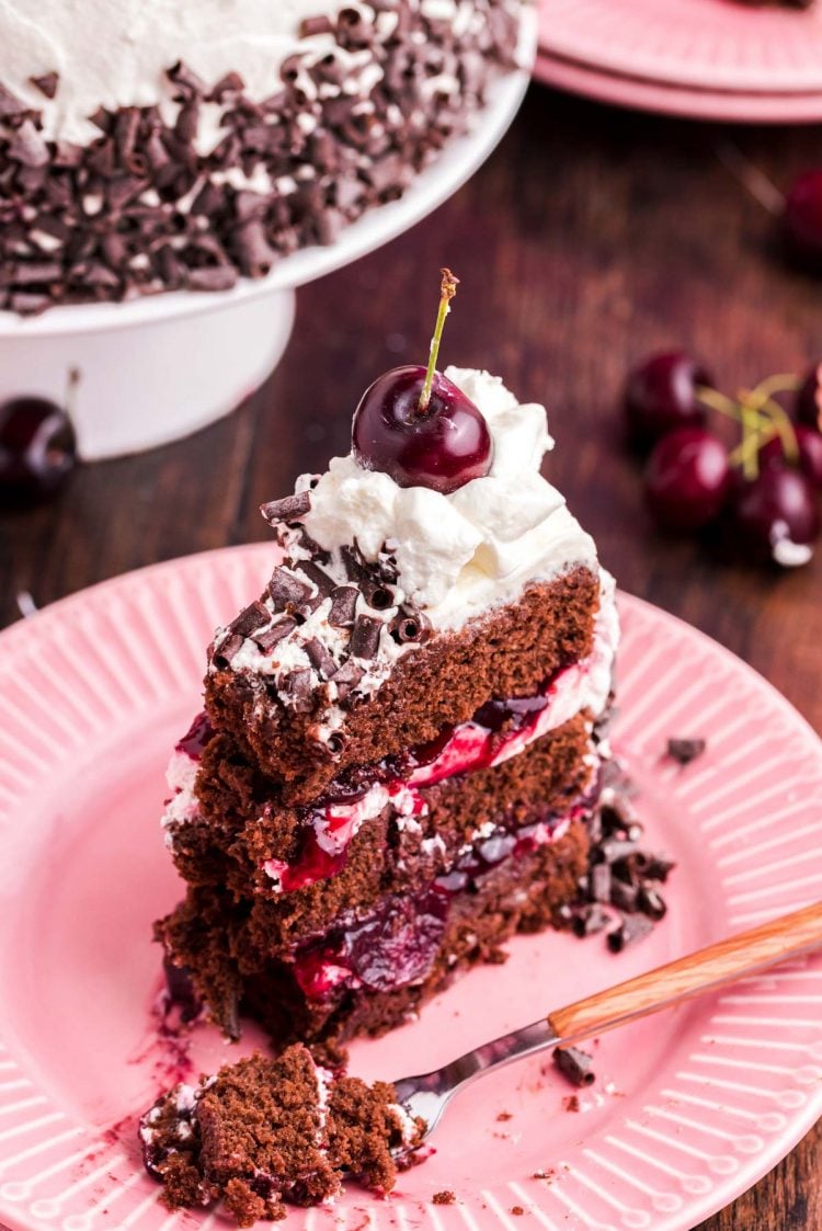 A slice of black forest cake on a pink plate.