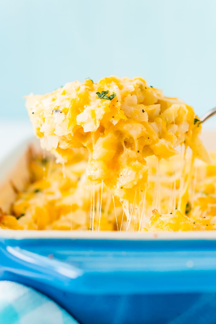 This Hashbrown Casserole will be an instant hit with the family! Made with hashbrown potatoes, cheddar and Colby Jack cheeses, cream of chicken soup, and a whole lot of butter. This gooey breakfast or side dish will have everyone begging for more!
