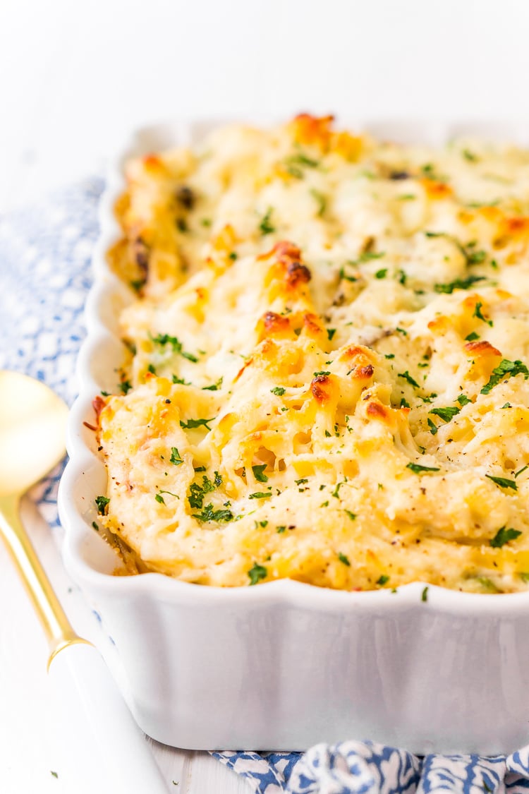 This Chicken Tetrazzini recipe is an easy, cozy, and delicious casserole dish! Fettuccine, chicken, mushrooms, and peas are baked into a creamy cheese sauce with tons of flavor! It's an instant family favorite!