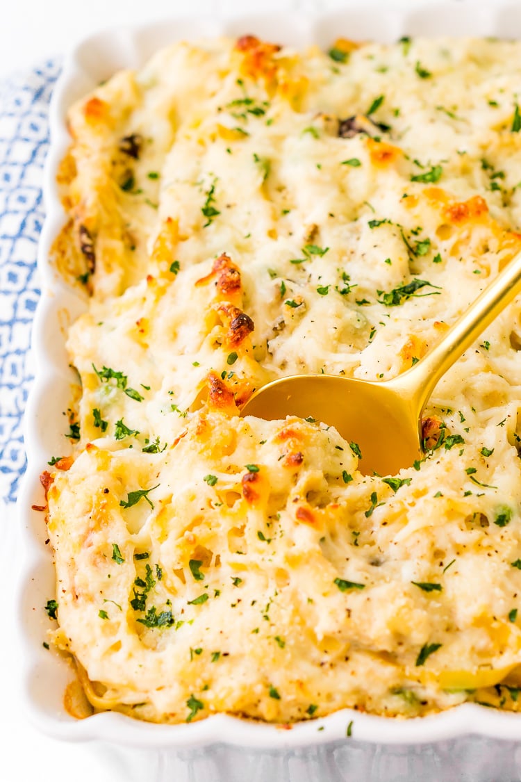 This Chicken Tetrazzini recipe is an easy, cozy, and delicious casserole dish! Fettuccine, chicken, mushrooms, and peas are baked into a creamy cheese sauce with tons of flavor! It's an instant family favorite!