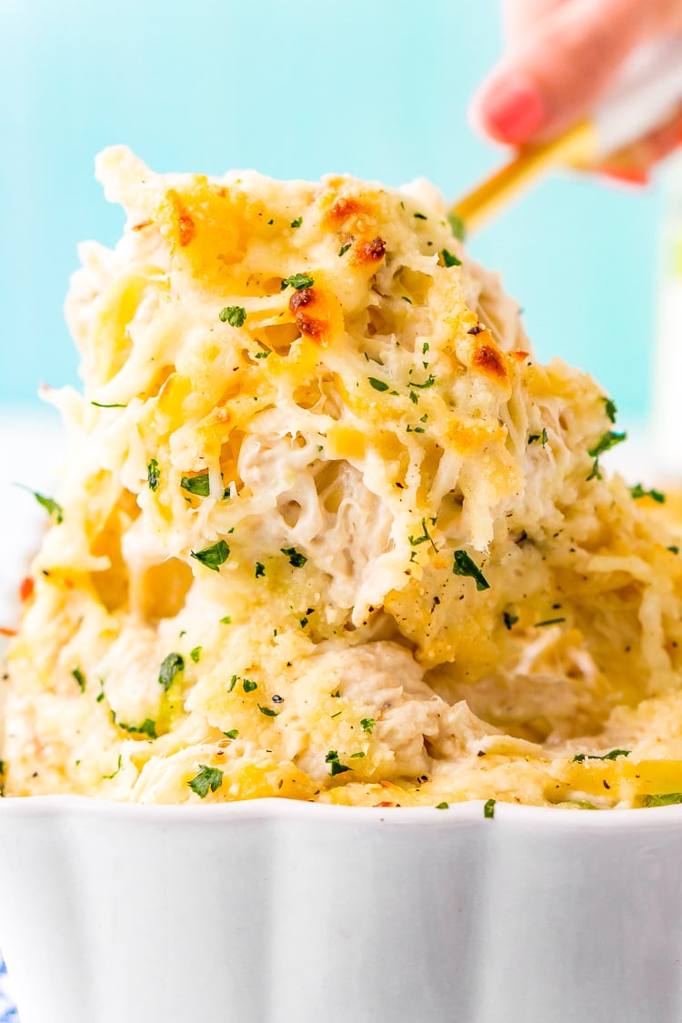 This Chicken Tetrazzini recipe is an easy, cozy, and delicious casserole dish! Fettuccine, chicken, mushrooms, and peas are baked into a creamy cheese sauce with tons of flavor! It's an instant family favorite!