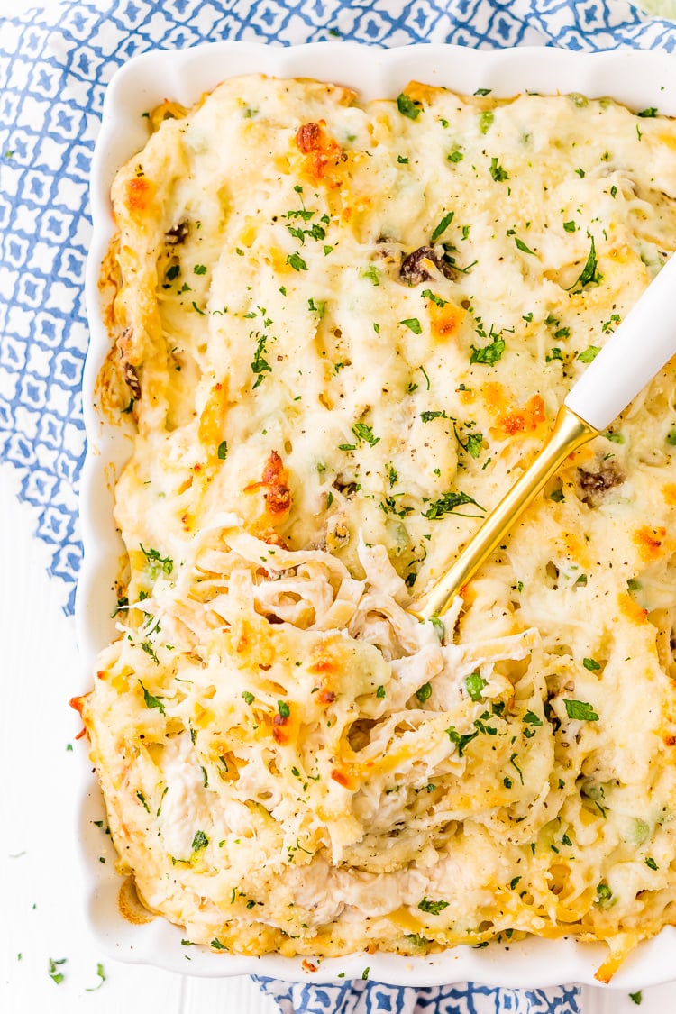 This Chicken Tetrazzini recipe is an easy, cozy, and delicious casserole dish! Fettuccine, chicken, mushrooms, and peas are baked into a creamy cheese sauce with tons of flavor! It's an instant family favorite!