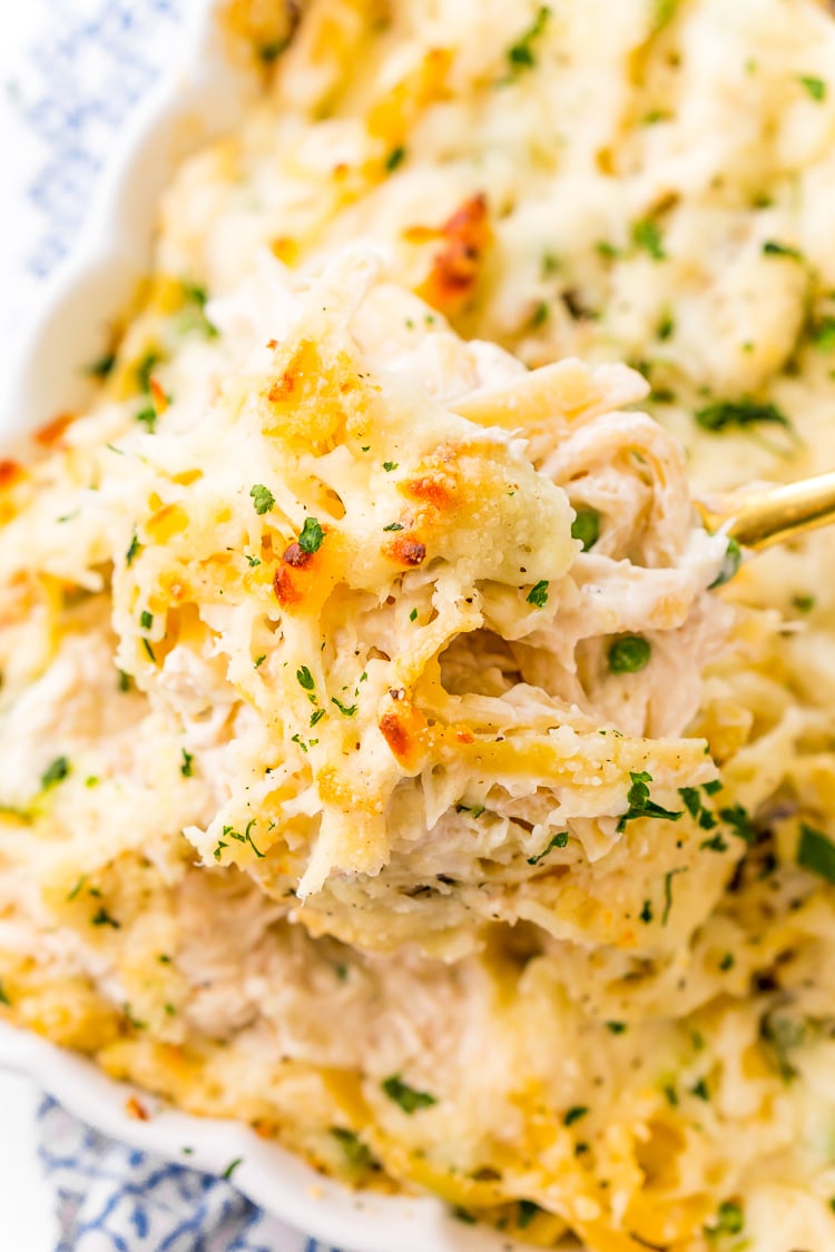 This Chicken Tetrazzini recipe is an easy, cozy, and delicious casserole dish! Fettuccine, chicken, mushrooms, and peas are baked into a creamy cheese sauce with tons of flavor! It's an instant family favorite!