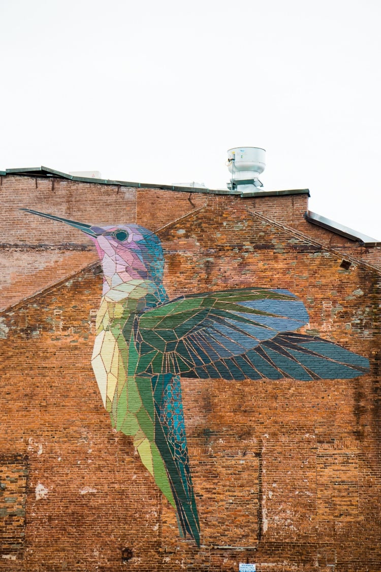Humming Bird Mosaic on brick building