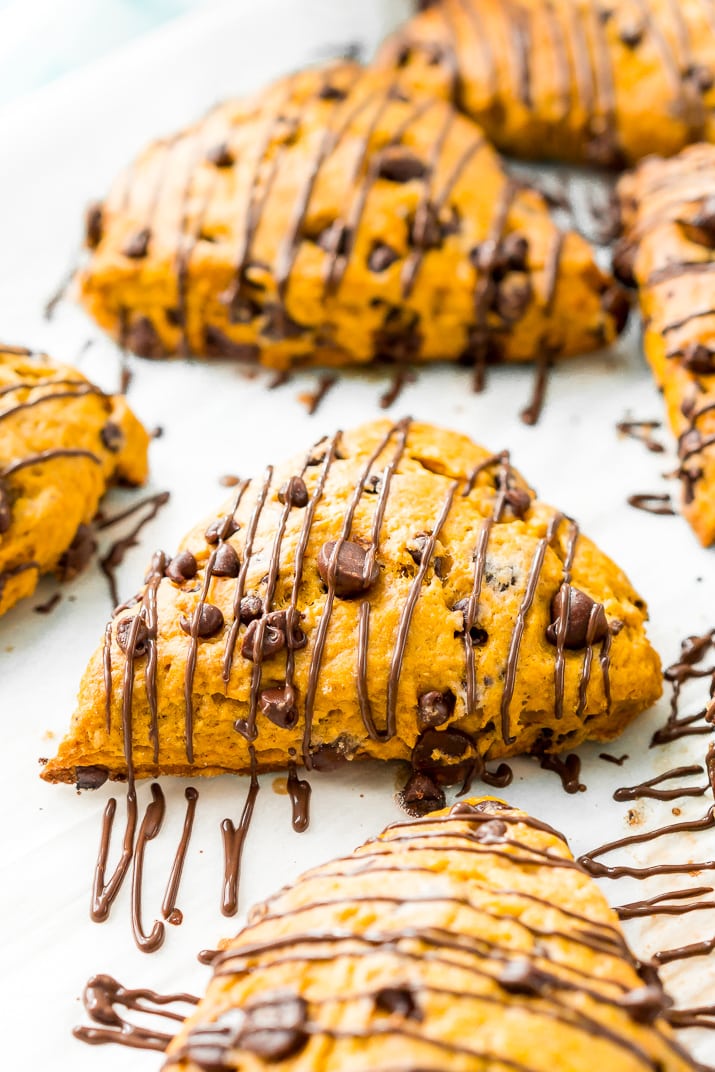 Pumpkin Scones are the sophisticated way to enjoy pumpkin and spice this season! This simple recipe calls for dark and semi-sweet chocolate chips so you can indulge your chocolate cravings and get your pumpkin fix morning, noon, or night.