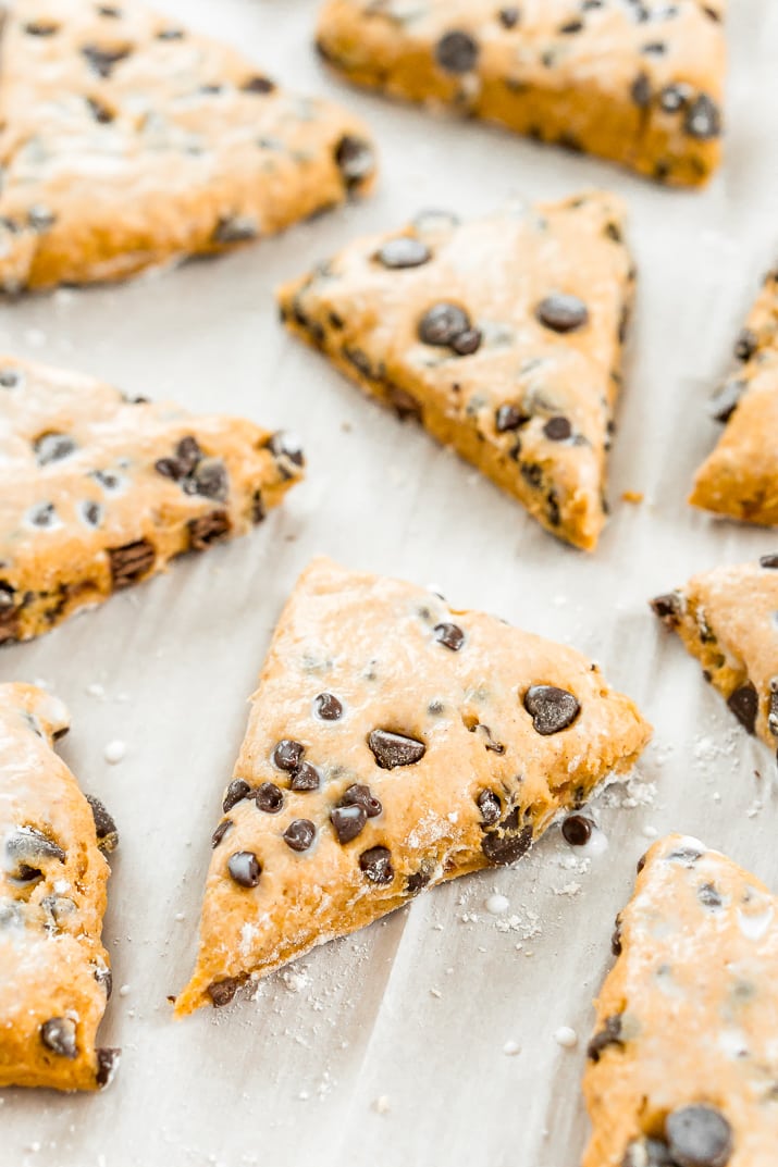 Pumpkin Chocolate Chip Scones Recipe