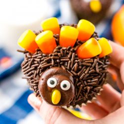 These Turkey Cupcakes are an easy-to-make treat for the kids and a fun way to celebrate the Thanksgiving season!