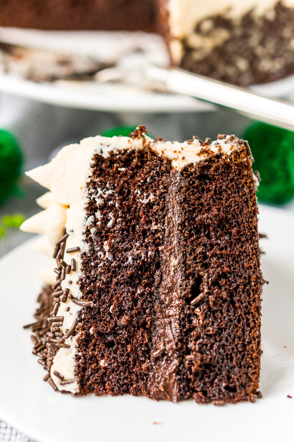 Close up photo of a slice of Chocolate Guinness Cake on a white plate.