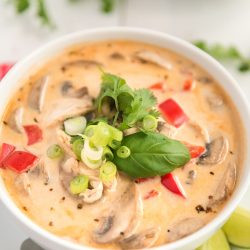 This Chicken Coconut Soup, also known as Tom Kha Gai, is an incredibly aromatic and flavorful Thai dish made with chicken, mushrooms, peppers, in a creamy coconut broth.