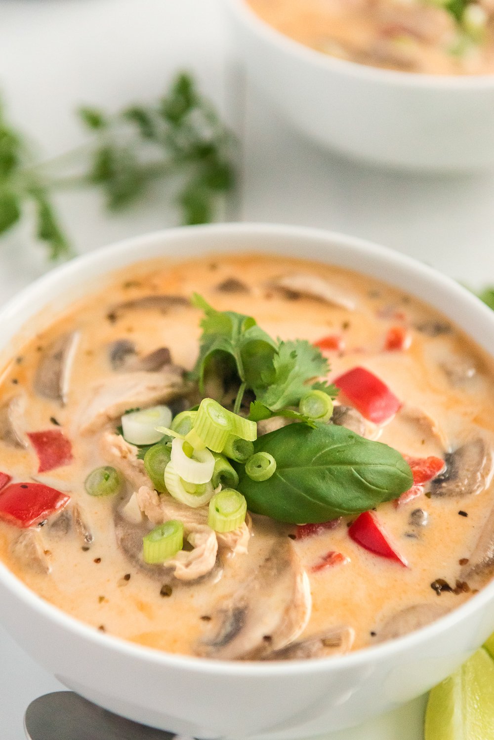 Close up photo of Chicken Coconut Soup (aka tom kha gai) in a white bowl.