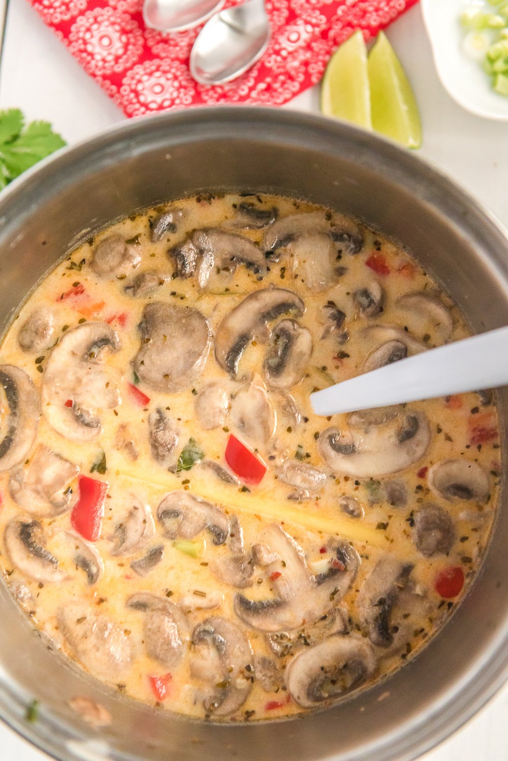 Overhead shot of a pot of chicken coconut soup.