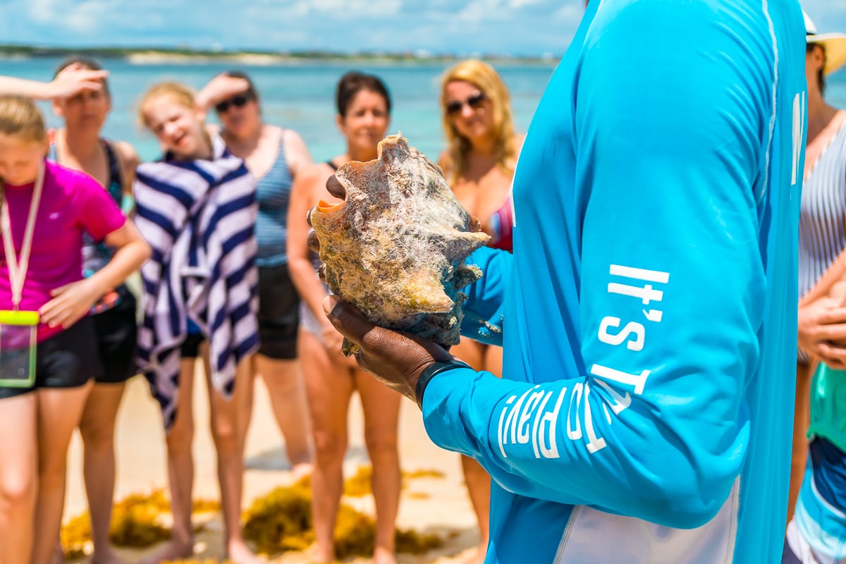 Conch shell demonstration on the beach with a tour group.