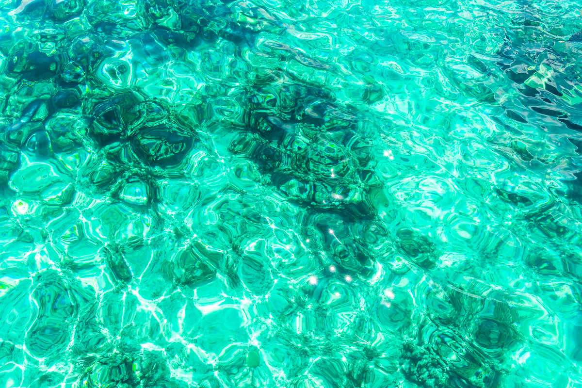 Coral reef under turquoise water.