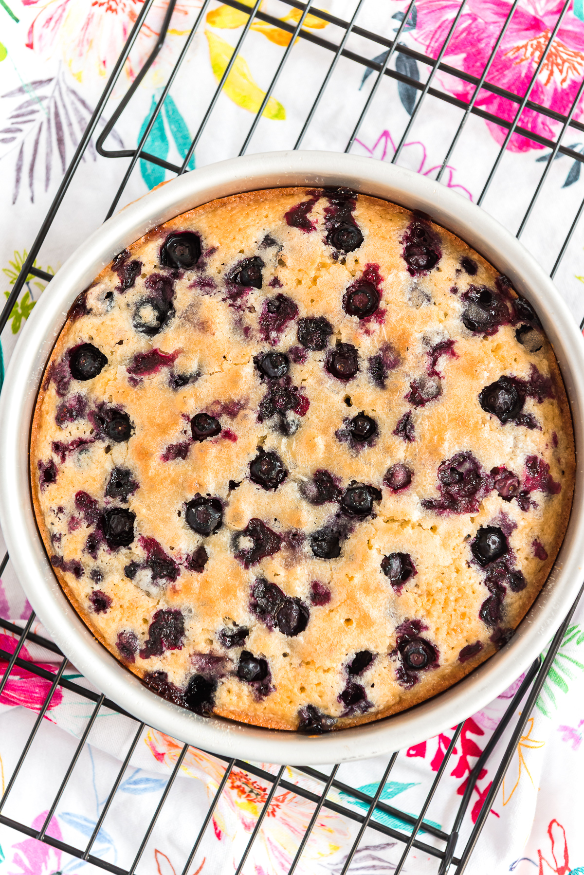 Baked Blueberry Cake in a round cake pan on a black cooling rack.