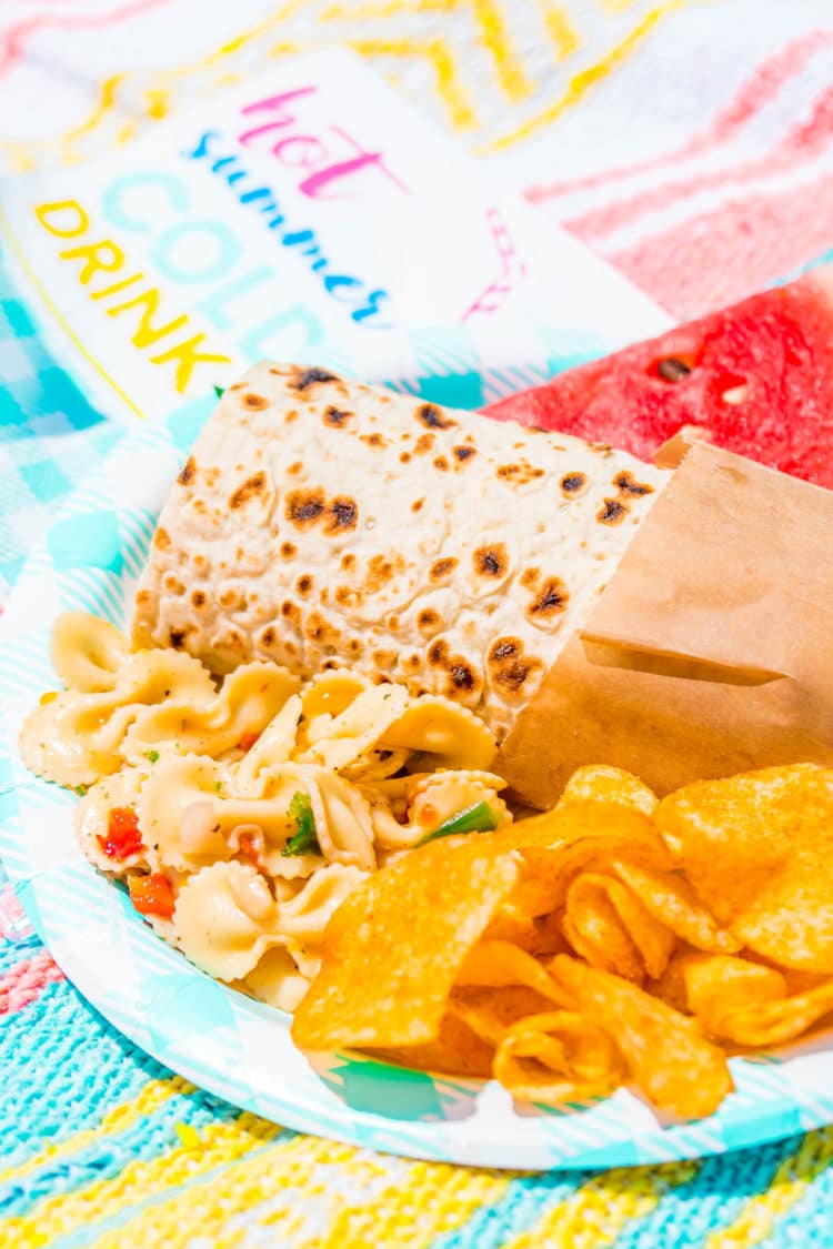 Plate with pasta salad, wrap, and potato chips on a picnic blanket.