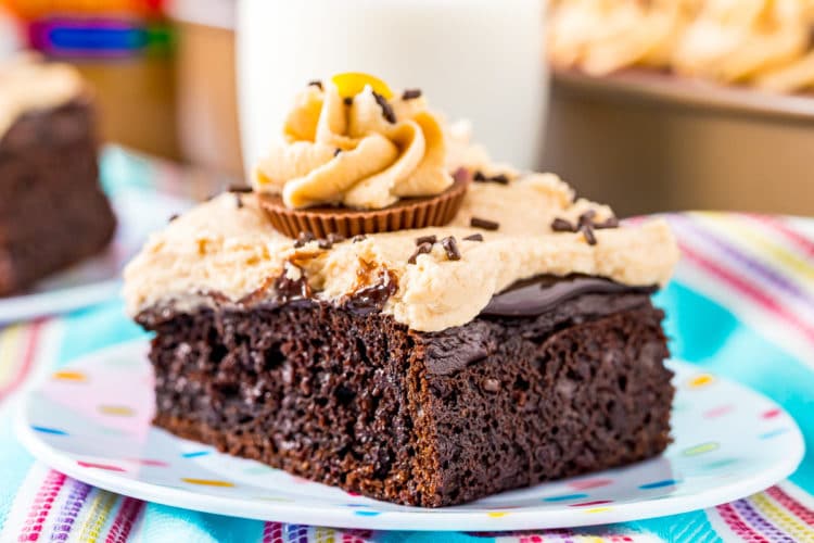 Slice of chocolate peanut butter cake on a small plate.