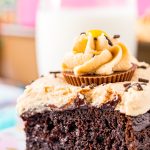 Close up photo of peanut butter chocolate cake on a white plate.