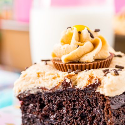 Close up photo of peanut butter chocolate cake on a white plate.