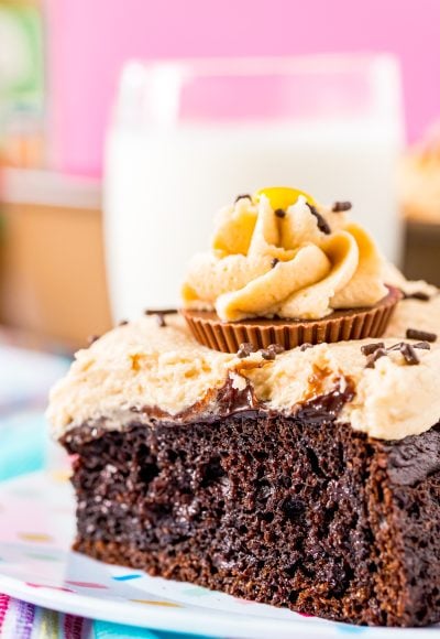 Close up photo of peanut butter chocolate cake on a white plate.