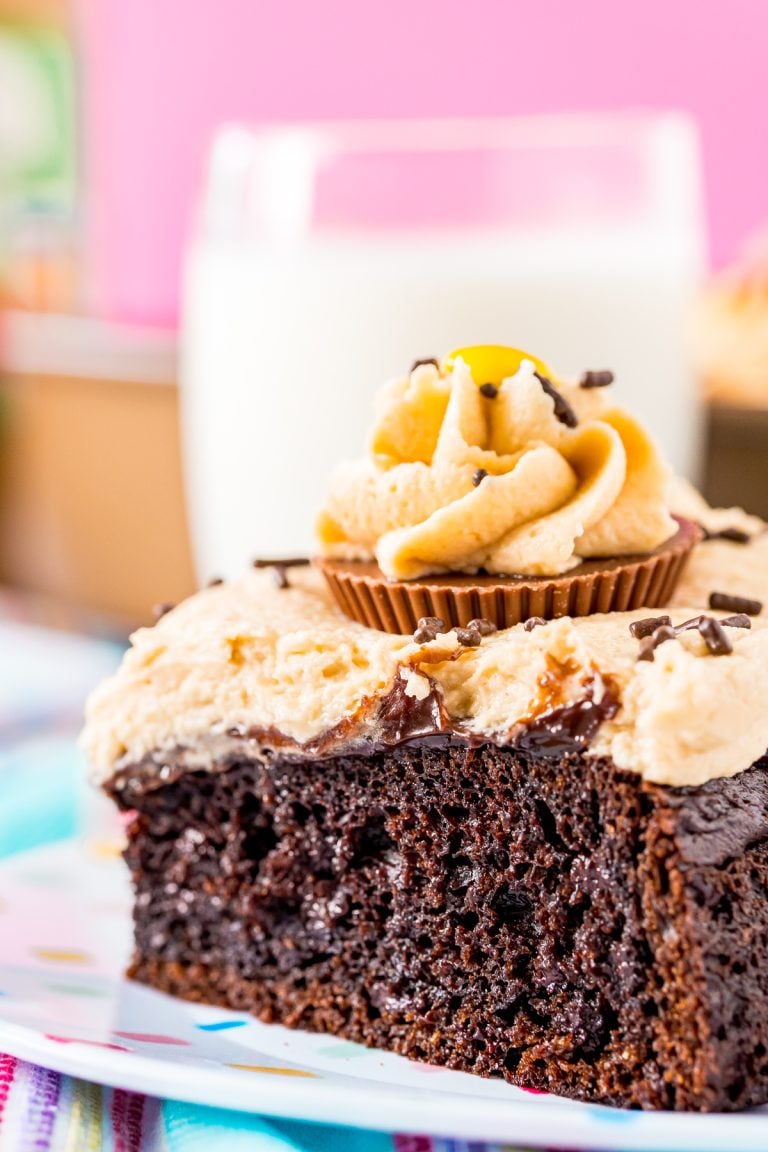 Close up photo of peanut butter chocolate cake on a white plate.