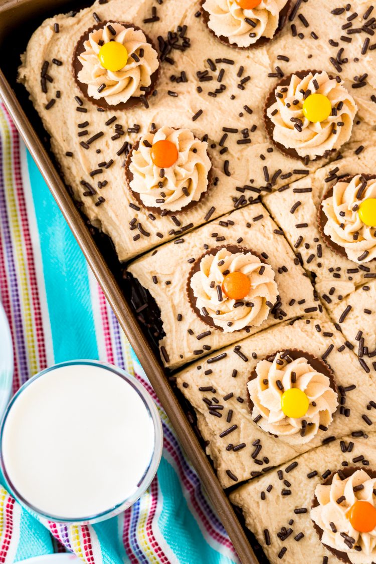 Overhead photo of peanut butter chocolate sheet cake in a pan.