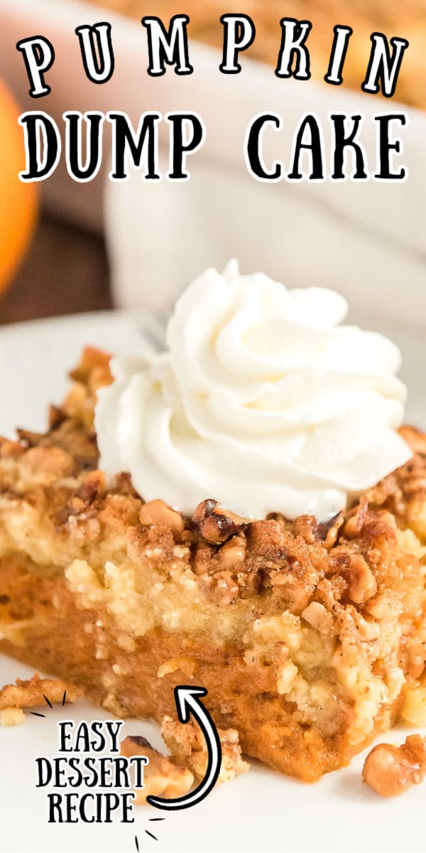 Pumpkin Dump Cake is the perfect fall dessert alternative to pumpkin pie! With a dense pumpkin base and a cake topping both loaded with Pumpkin Pie Spice and chopped nuts, this dessert's amazing layers will impress the whole family! via @sugarandsoulco