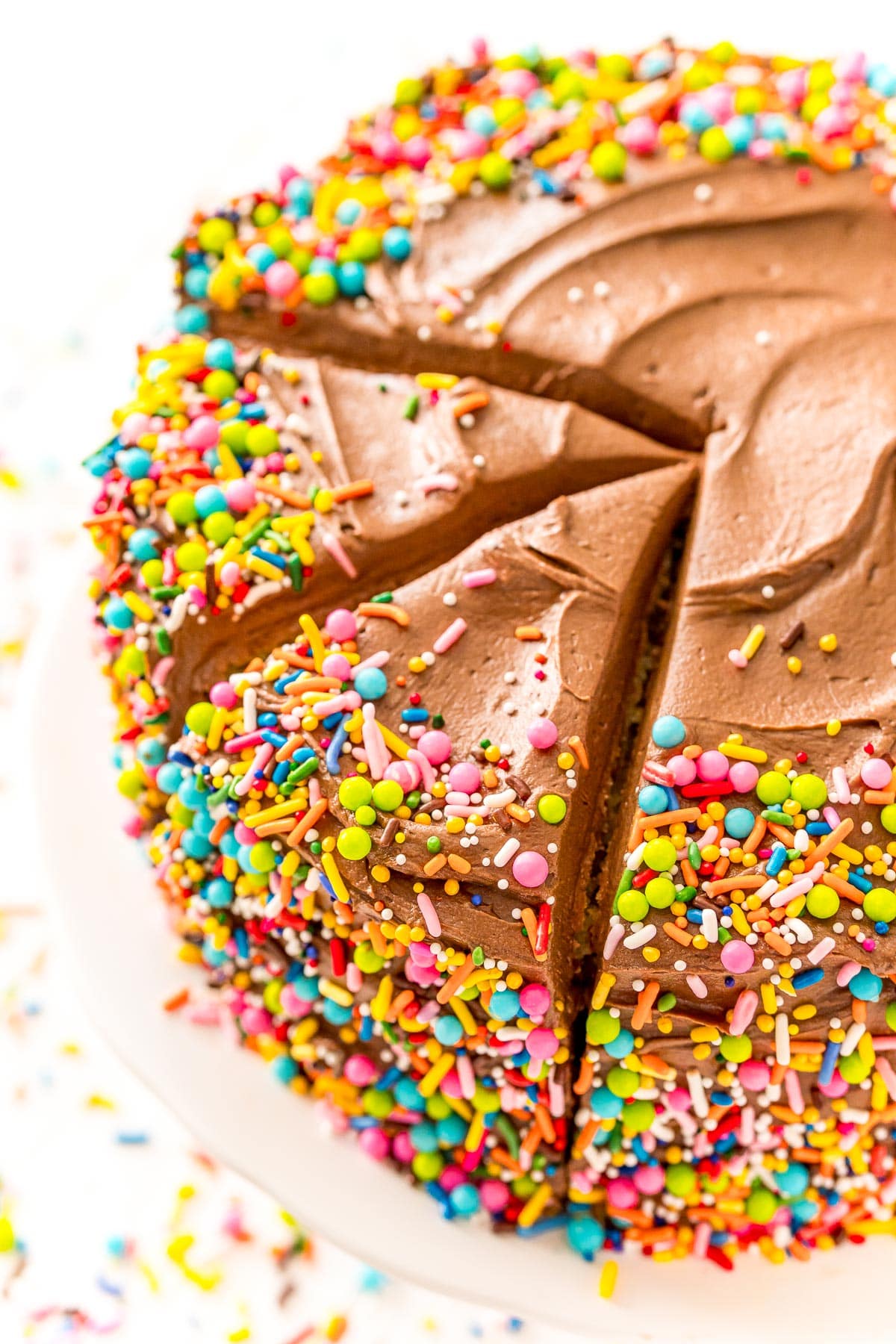 Chocolate frosted yellow cake with sprinkles.