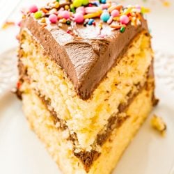 Slice of yellow cake with chocolate frosting and sprinkles on a white plate.